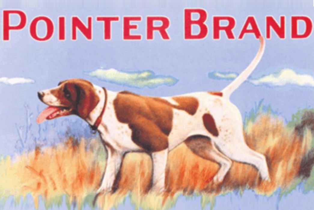 Pointer Brand